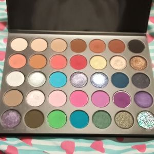 Morphe x Nikita eyeshadow pallet used